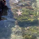 𓇼 🌊 🐚𝓜𝔂 𝓫𝓮𝓵𝓸𝓿𝓮𝓭 𝓱𝓸𝓶𝓮𓇼 🌊 🐚