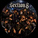 Section 8