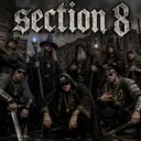 Section 8
