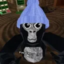Official Phoenixvr's server