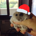 server of goofballs Discord server icon