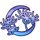 Lycoris