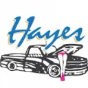 HAYES AUTO I BLUELITE