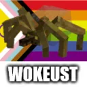 WOKE story