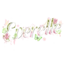 ꫂ 𓂃ℰverelle 𓍢ִ໋🌷͙֒