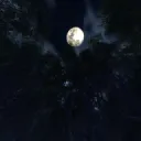 Reyの隠れ家