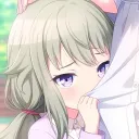 stupid nene server