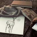 ⋆.˚.    𝑨𝒓𝒄𝒂𝒅𝒊𝒂 𝑩𝒂𝒚    ꩜