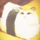bao's portfolio