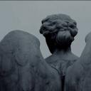 Weeping Angels 🪽