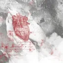 𝙍𝙚𝙙 𝘽𝙧𝙖𝙣𝙘𝙝 | Heaven and Hell RP