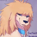 Poodle's Hub