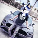 FurBros HQ