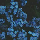 «𝐀𝐫𝐭𝐢𝐬𝐭𝐬 𝐂𝐨𝐫𝐧𝐞𝐫»