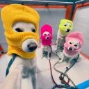 The Pookies