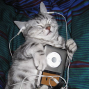 TWP ™ Discord server icon