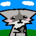 Why you should have a Raccoon