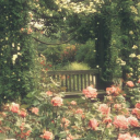 The Fairy Garden ‧₊˚❀༉‧₊˚.