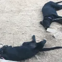 Chill Here