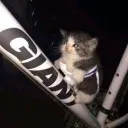 Cool Kids Club Discord server icon