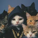 𝐋𝐀𝐒𝐒𝐈 𝐆𝐀𝐍𝐆 ♛
