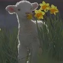 🐑 Sheepy MC's 🐑