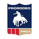Professional Rodeo Cowboys Association Discord Server Icon