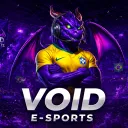 VOID E-SPORTS