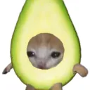 Abacate 🥑💚