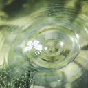 ᎷᎧᏖᏂᏋᏒ ᏦᏬᏉ ~ ᎧᎮᏋᏁ!