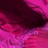 Pink Shell