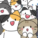 비마이펫 팬 서버