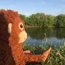 The Monkey Community