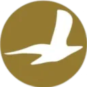 Cham Wings Airlines