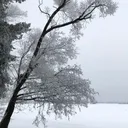 heli