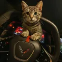 corvette