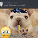 roblox contas