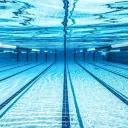 Swam Team
