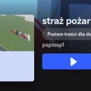 POLSKI SERWER