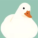 Duck Haven 🦆 | DUCK TAG