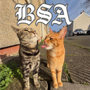 [DV] BSA icon