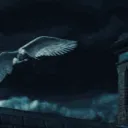 Valhalla 🐉