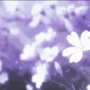 ᴛʜᴇ ɴɪɢʜᴛꜱʜᴀᴅᴇ ᴍᴀɴᴏʀ // ꜱ3 - ᴀ ꜱʜᴏᴛ ɪɴ ᴛʜᴇ ᴅᴀʀᴋ!