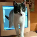 friends 18+ afterdark Discord Server Icon