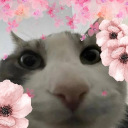 a silly server >:3 Discord server icon