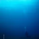 TheDeepDive server