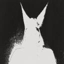 L'ᴀpocalypse    Discord Server Icon