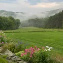 The Garden