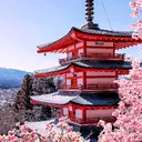 Ukiyo 浮世 • social • giveaways • gaming • anime 🌸