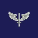 Força Aérea Brasileira - FiveM